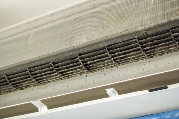 Best Ventilation Cleaning Services  in Owosso, MI